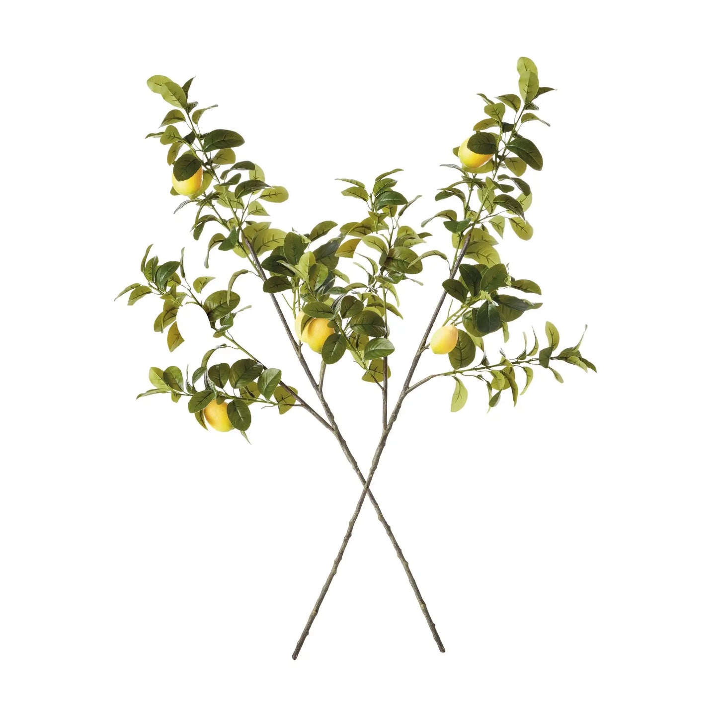 FAUX LEMON BRANCHES 43", SET OF 2 - view 2