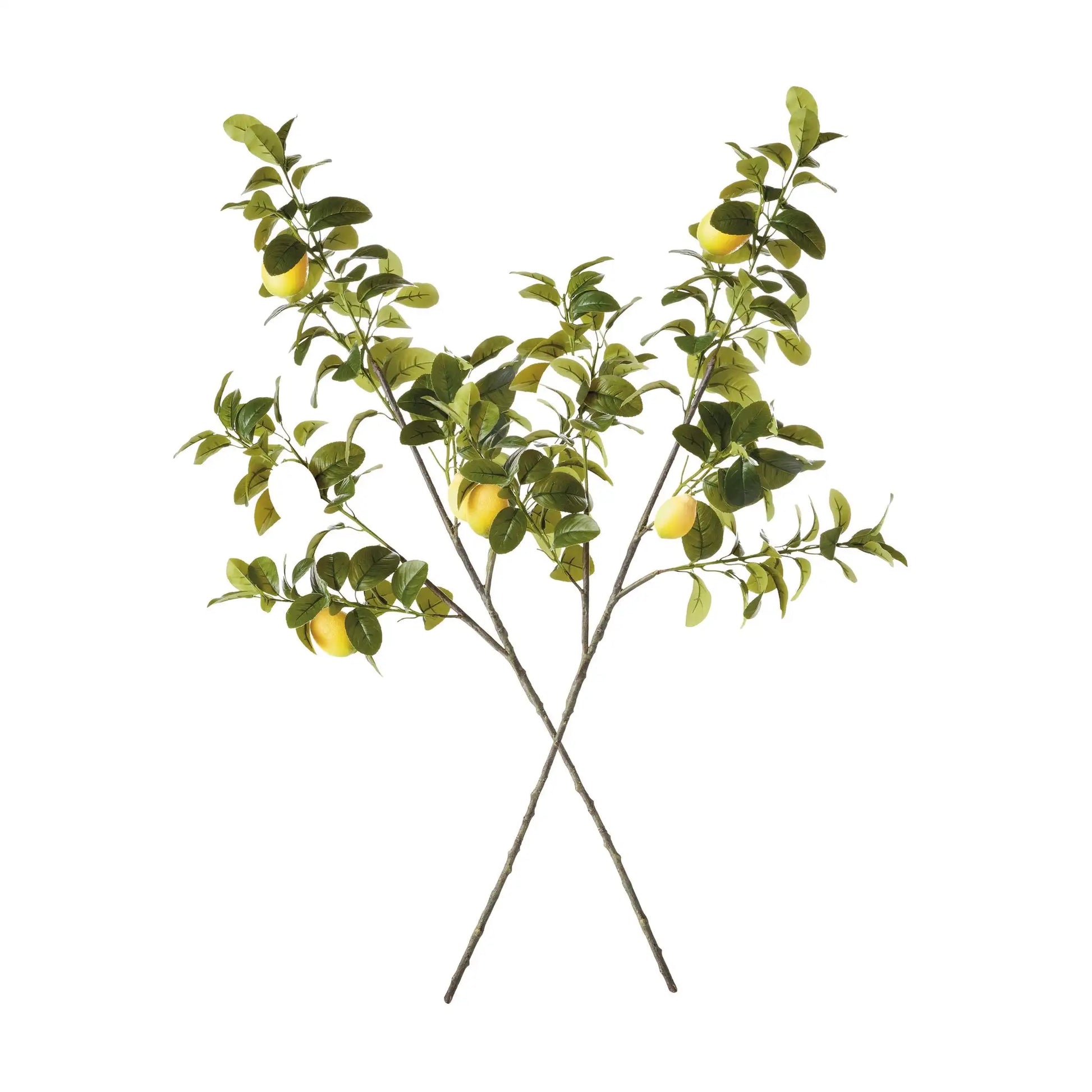 FAUX LEMON BRANCHES 43", SET OF 2 - view 2