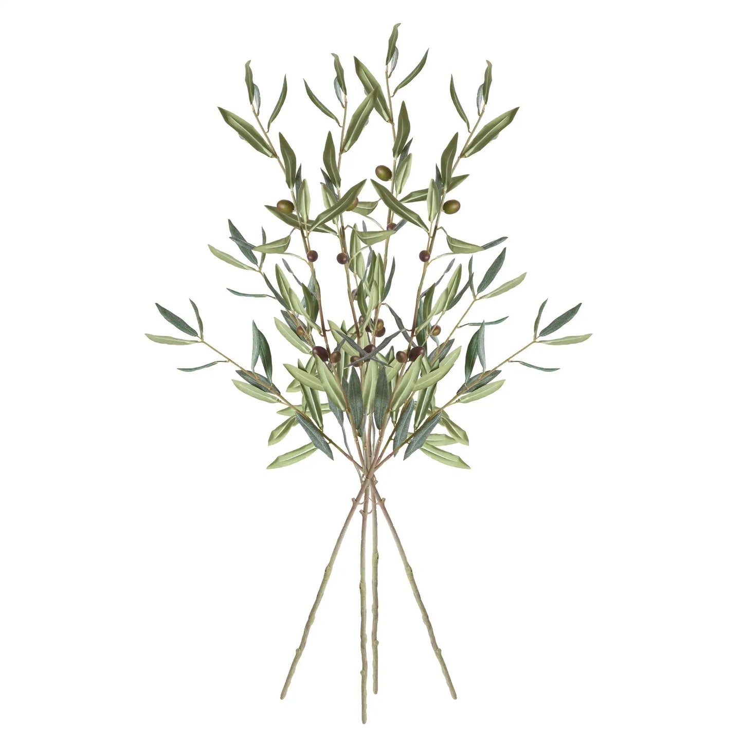OLIVE STEMS WITH OLIVES 32", SET OF 4 - view 2
