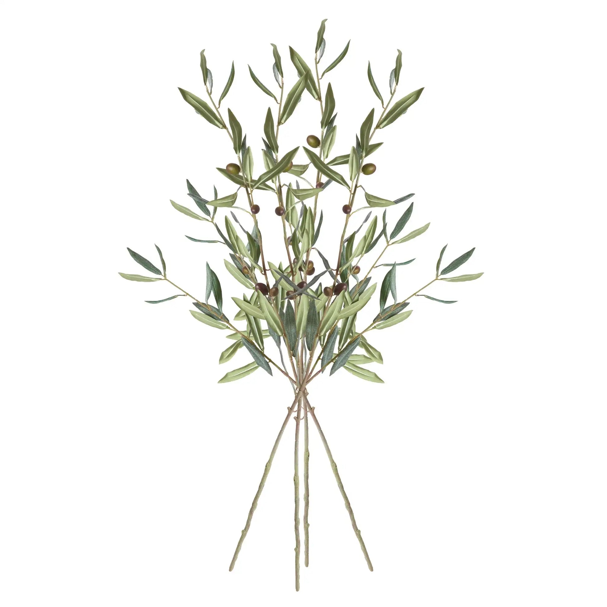 OLIVE STEMS WITH OLIVES 32", SET OF 4 - view 2