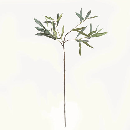OLIVE STEMS 30", SET OF 4