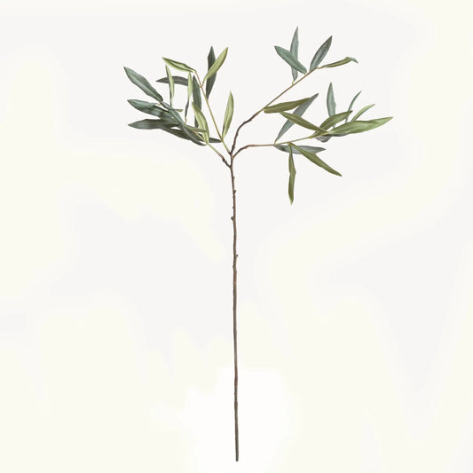 OLIVE STEMS 30", SET OF 4