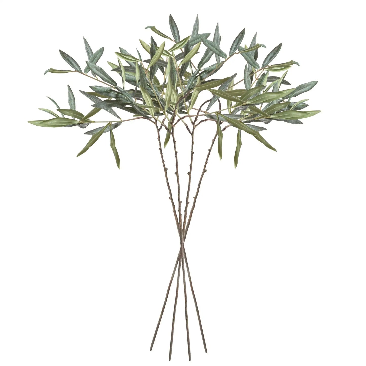 OLIVE STEMS 30", SET OF 4 - view 2