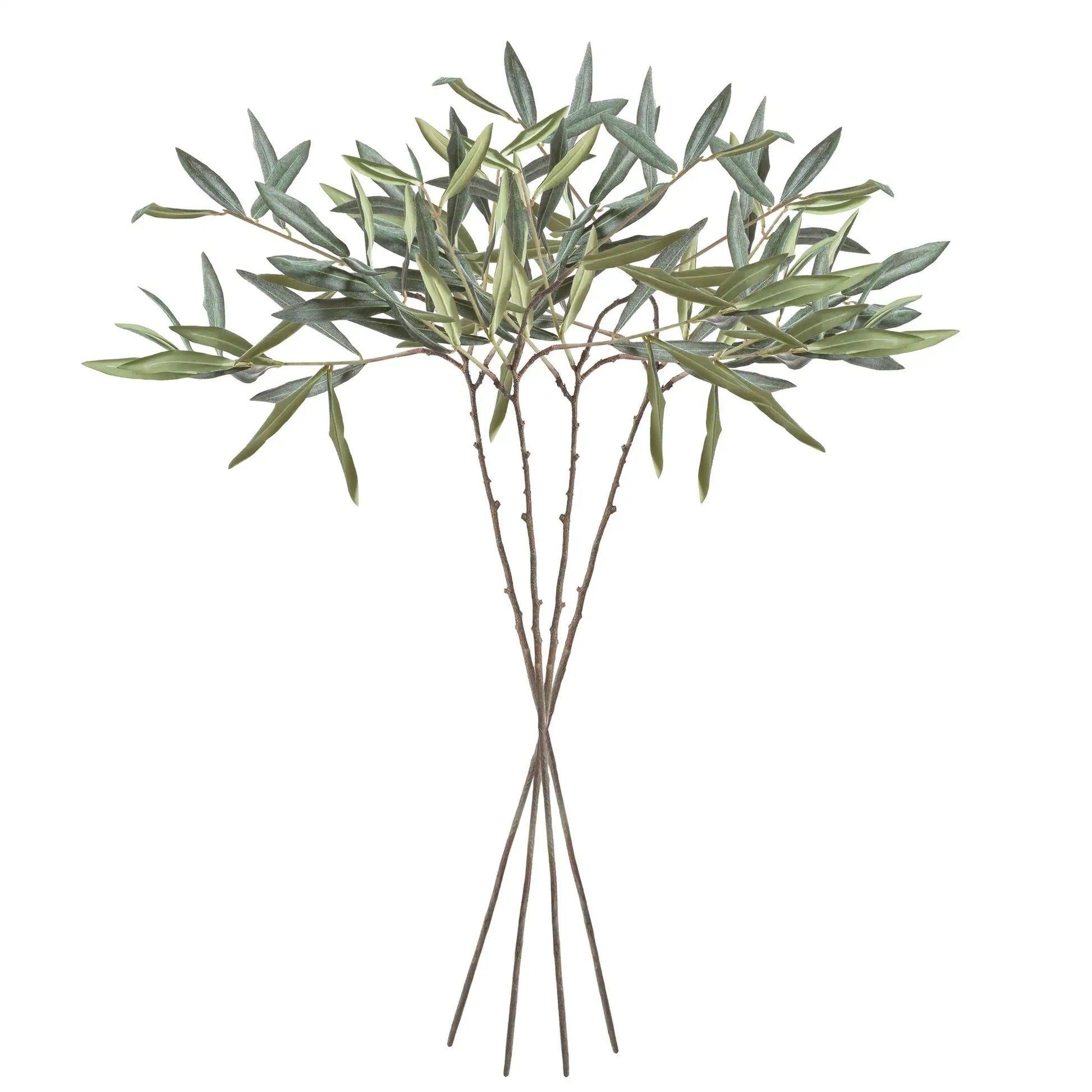 OLIVE STEMS 30", SET OF 4 - view 2