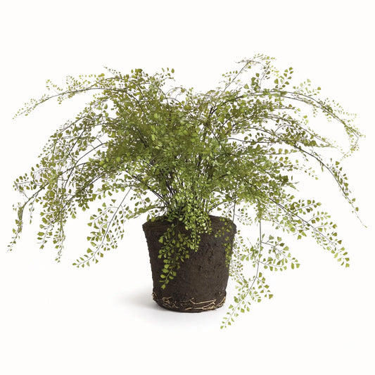 MAIDENHAIR DROP-IN 37"