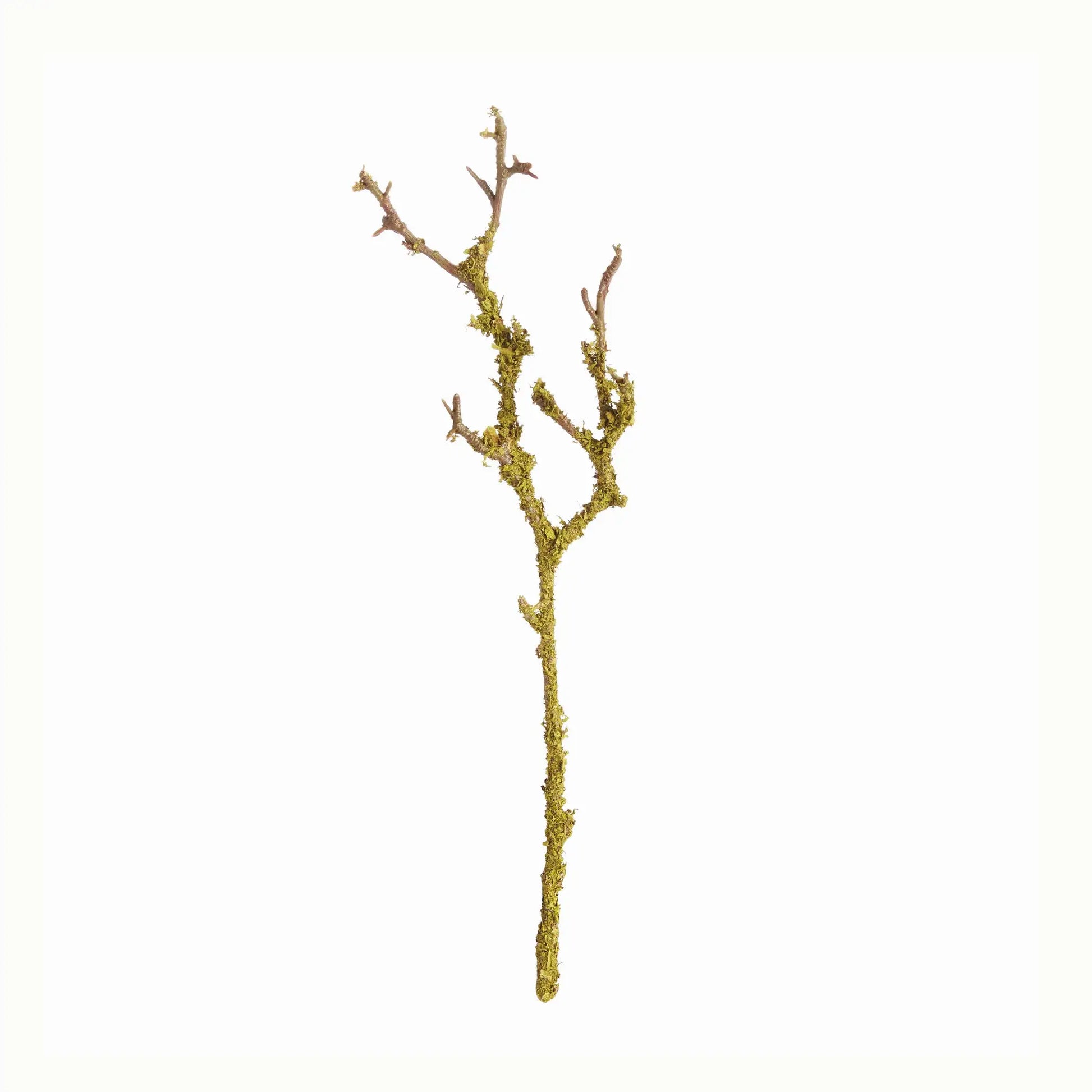 LICHEN BRANCHES 17", SET OF 6
