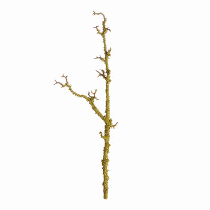 LICHEN BRANCHES 28", SET OF 2