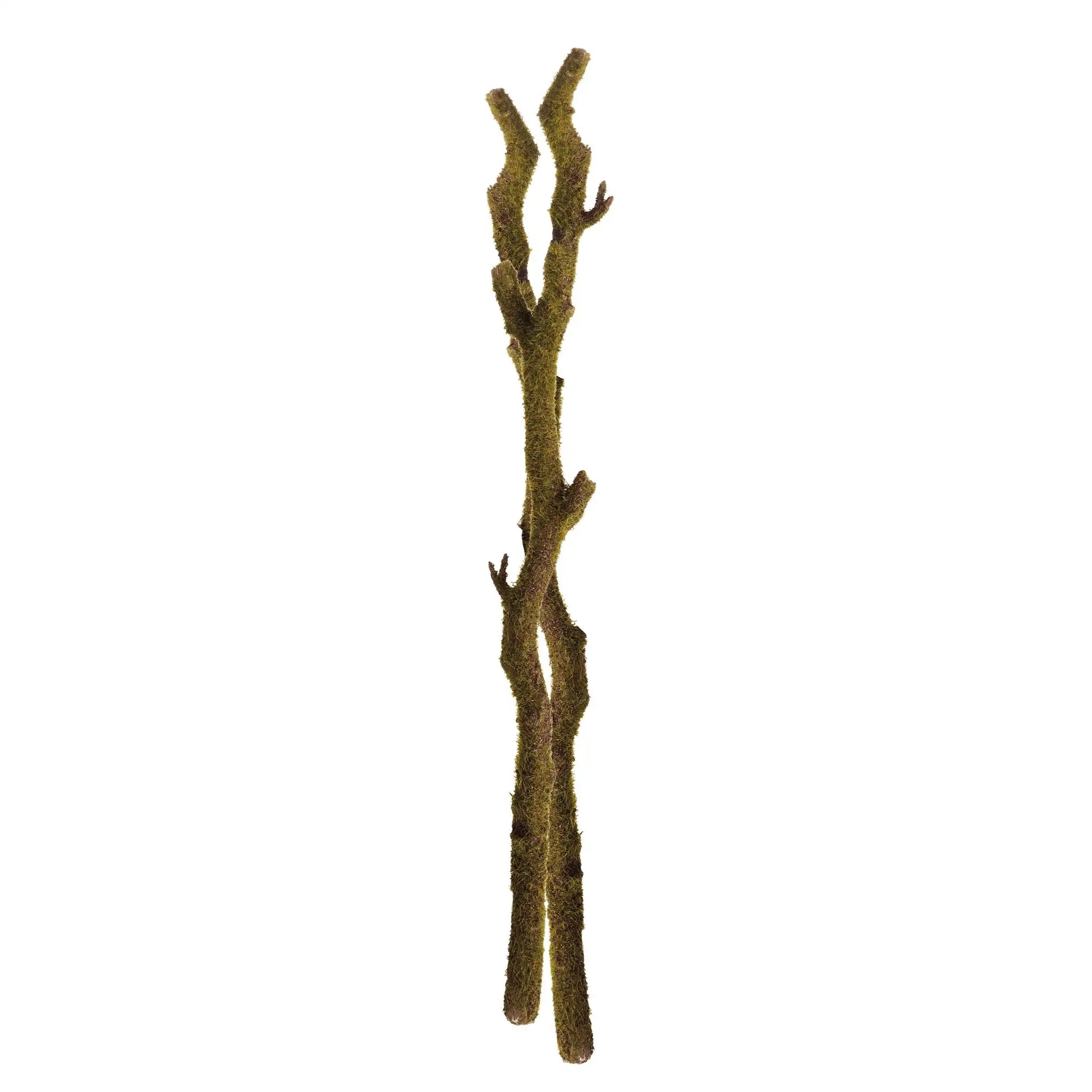 MOSS BRANCHES 24", SET OF 2 - view 2
