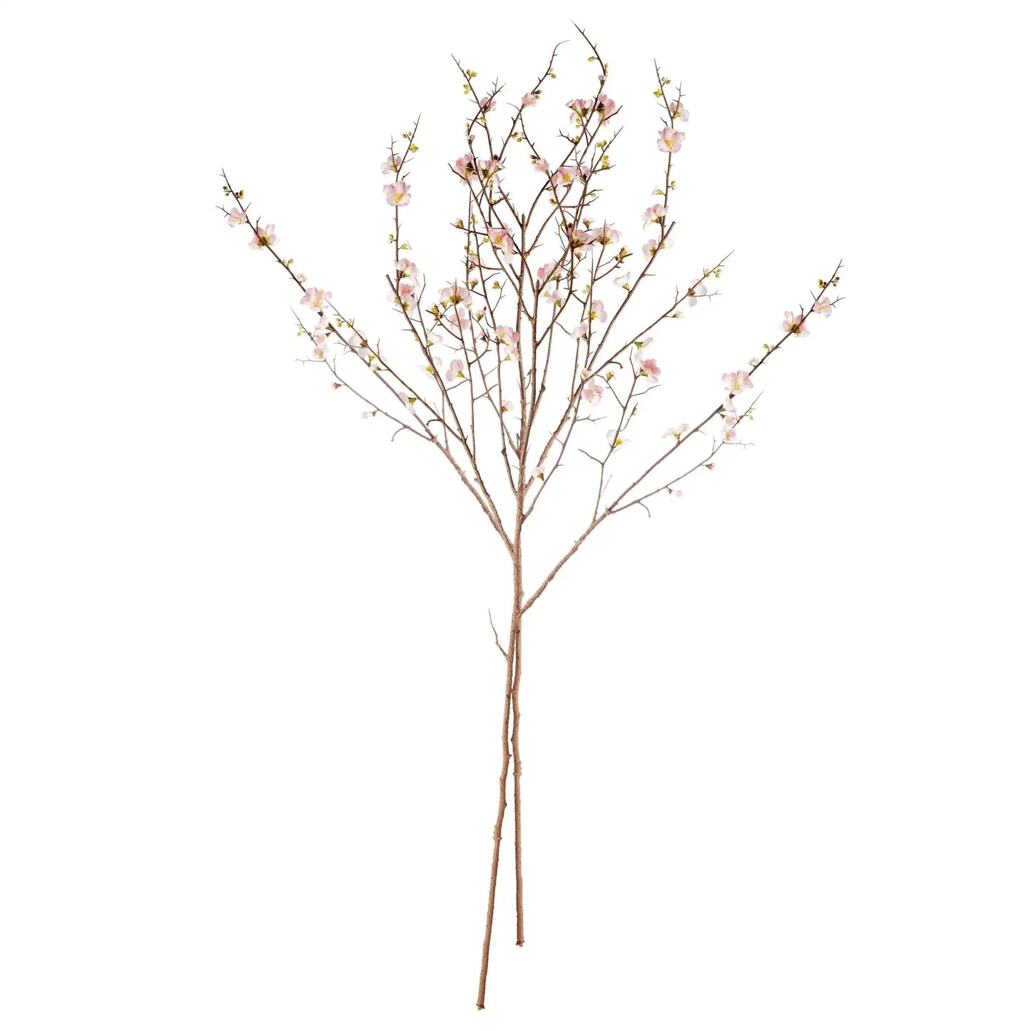 PINK QUINCE BLOSSOM BRANCHES 54", SET OF 2 - view 2