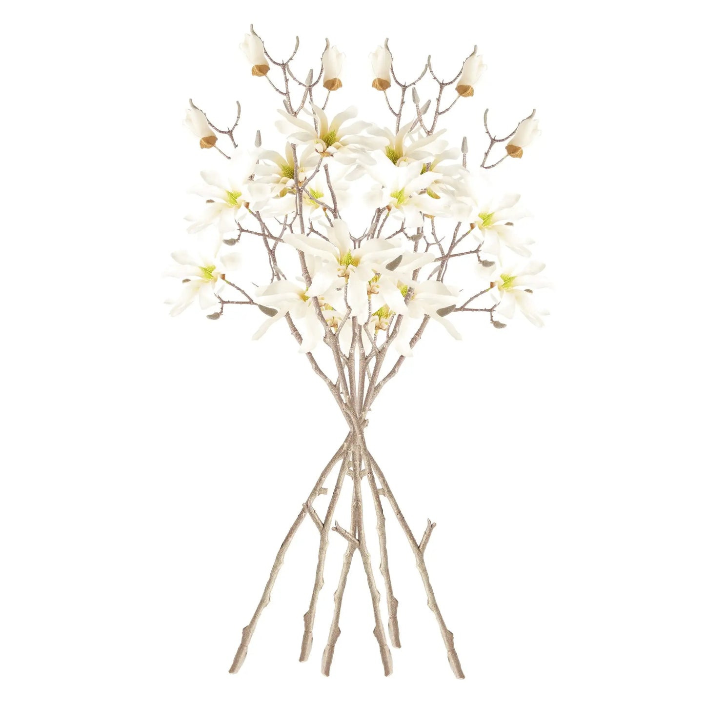 STAR MAGNOLIA BRANCHES 32", SET OF 6 - view 2