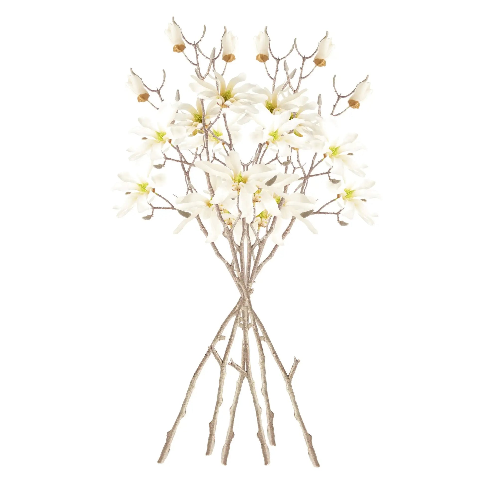STAR MAGNOLIA BRANCHES 32", SET OF 6 - view 2