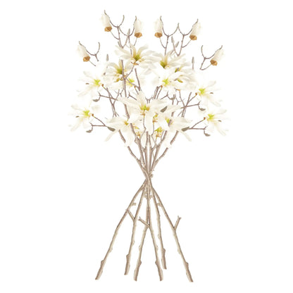 STAR MAGNOLIA BRANCHES 32", SET OF 6 - view 2