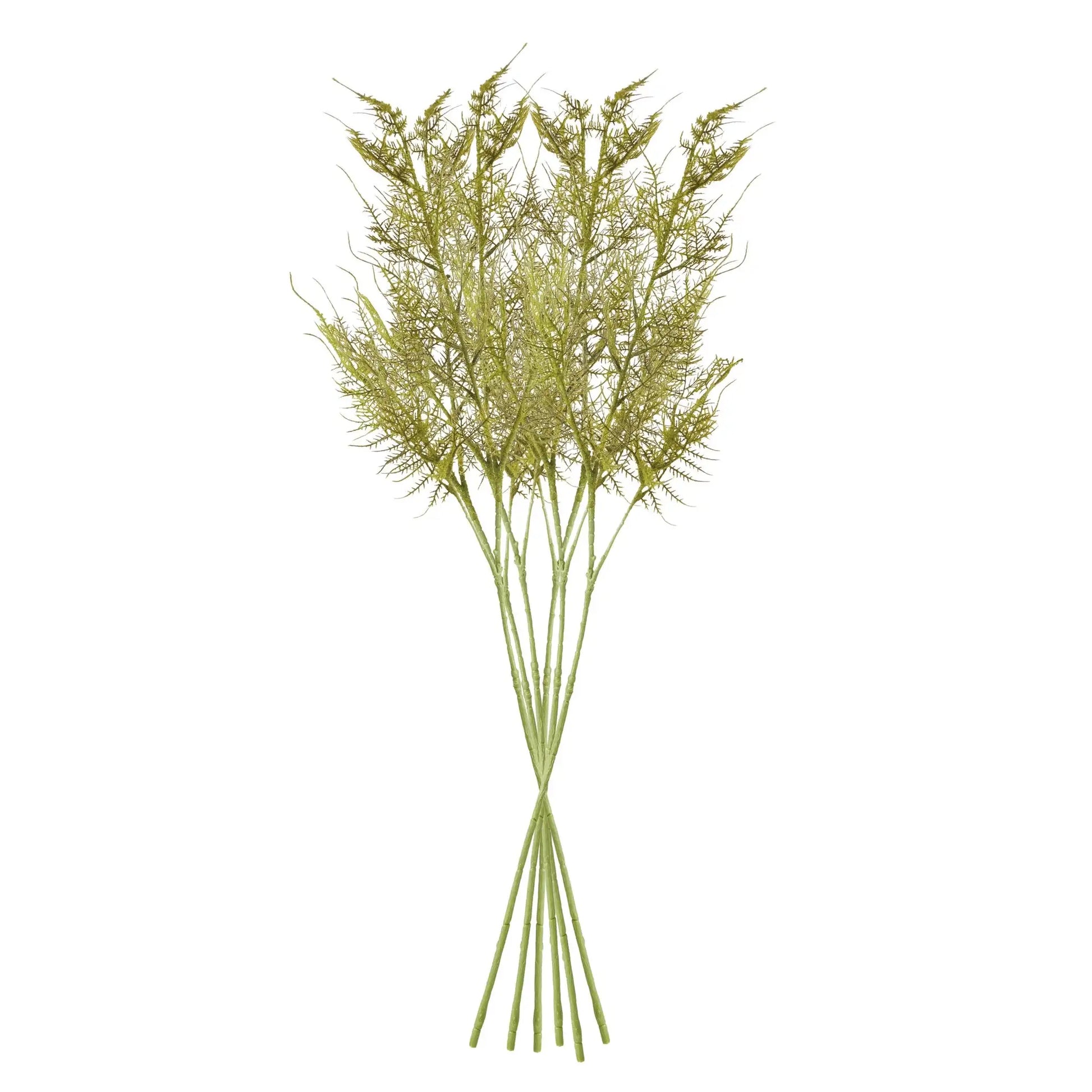 PLUMOSA STEMS, SET OF 6 - view 2