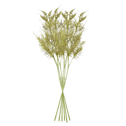 PLUMOSA STEMS, SET OF 6 - view 2