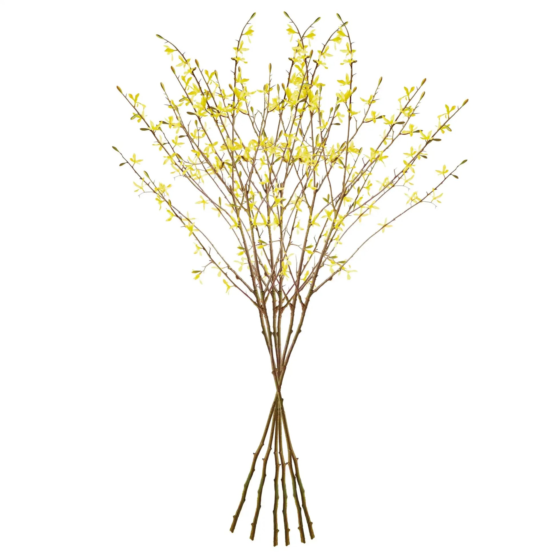 FORSYTHIA STEMS 47", SET OF 6 - view 2