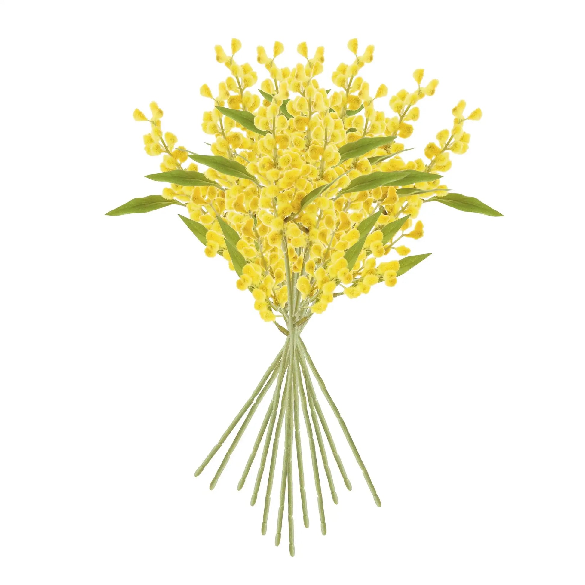 MIMOSA CUTTINGS 11", SET OF 12 - view 2
