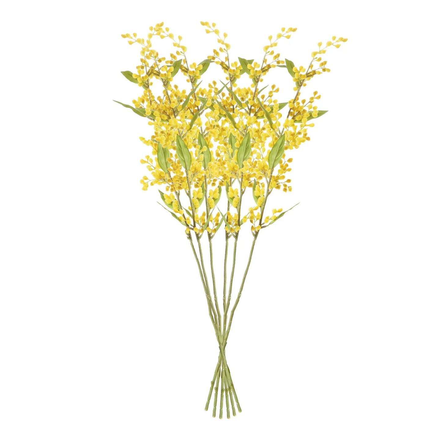 MIMOSA STEMS 27.5", SET OF 6 - view 2