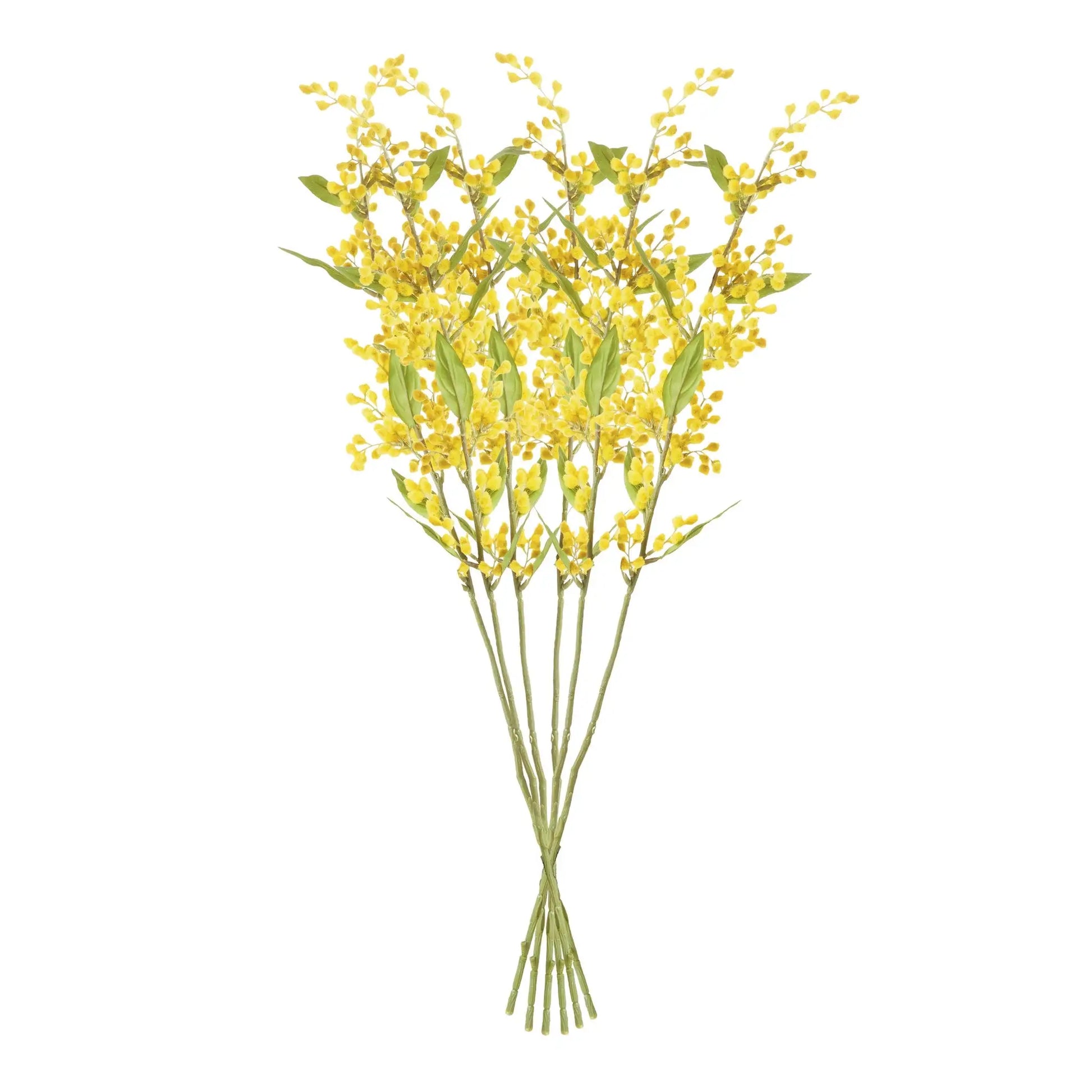 MIMOSA STEMS 27.5", SET OF 6 - view 2