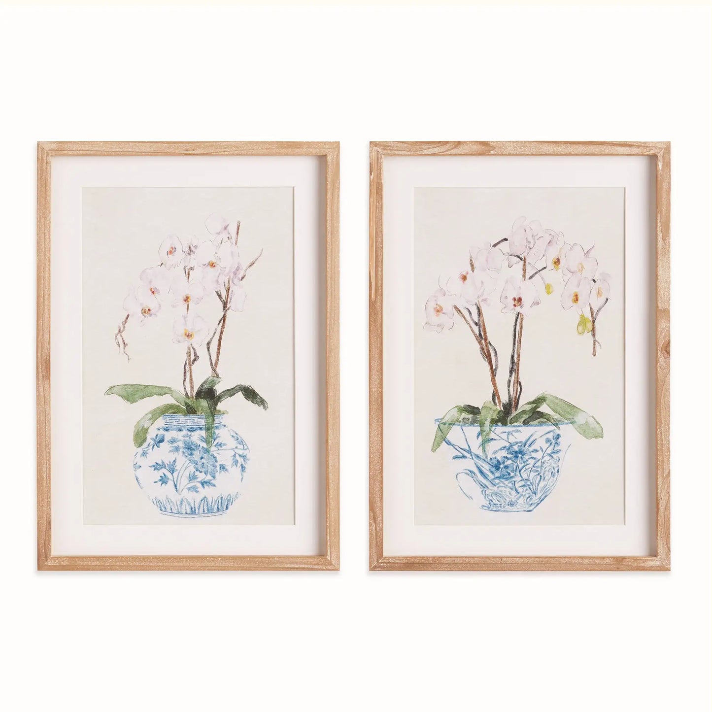 POTTED PHALAENOPSIS PRINTS, SET OF 2