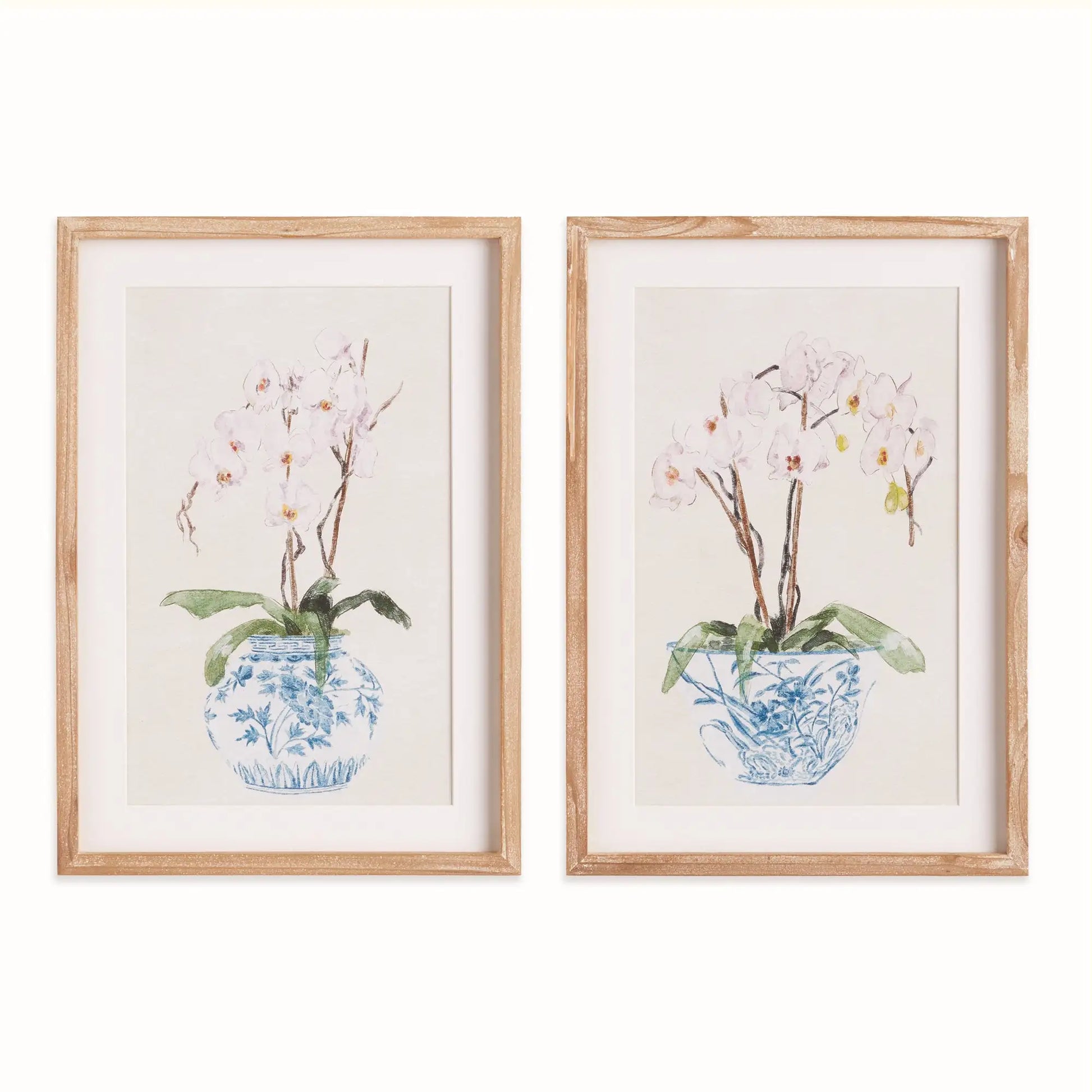 POTTED PHALAENOPSIS PRINTS, SET OF 2