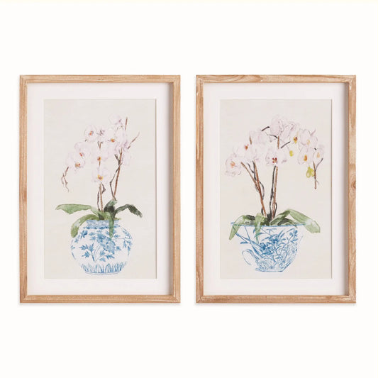 POTTED PHALAENOPSIS PRINTS, SET OF 2