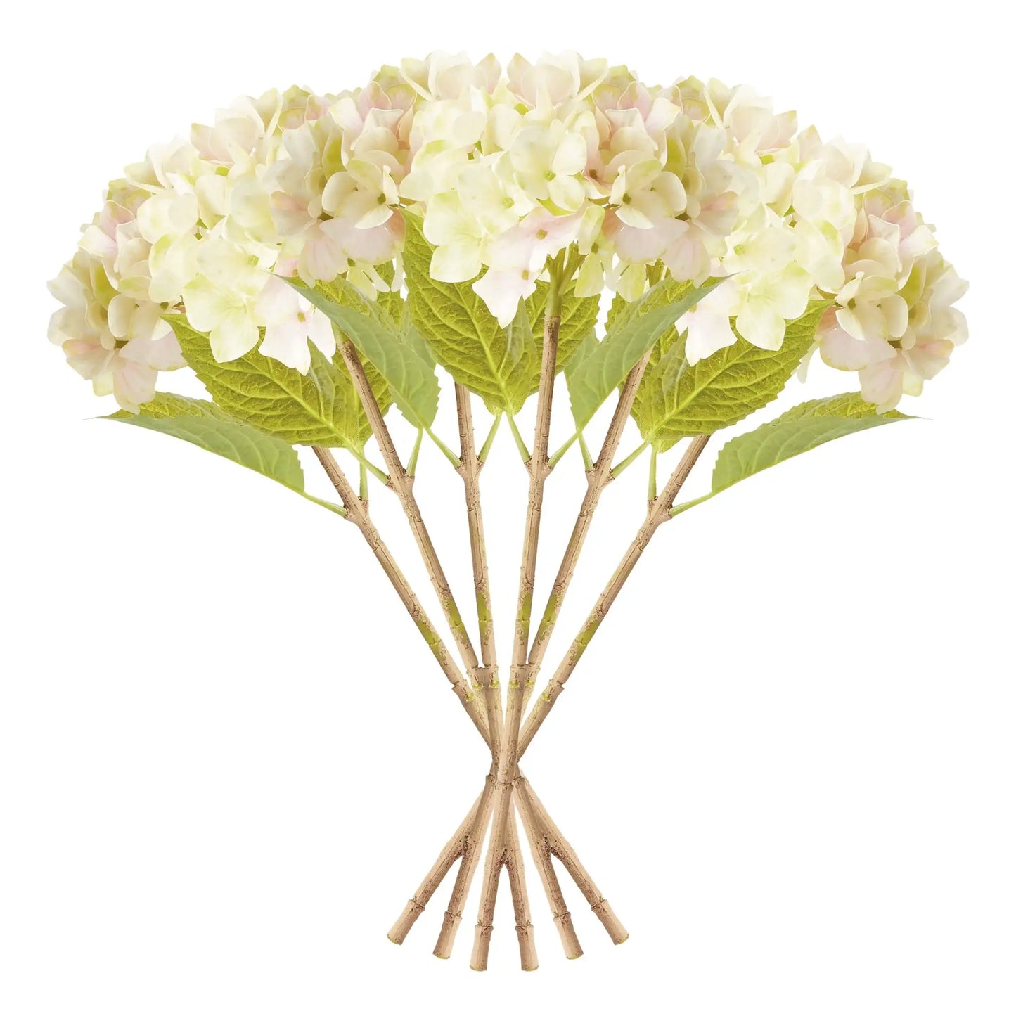 HYDRANGEA STEMS 18", SET OF 6 - view 2