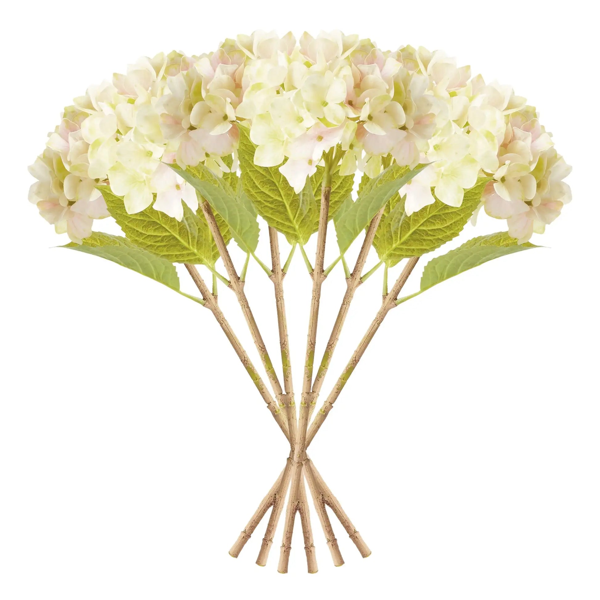 HYDRANGEA STEMS 18", SET OF 6 - view 2