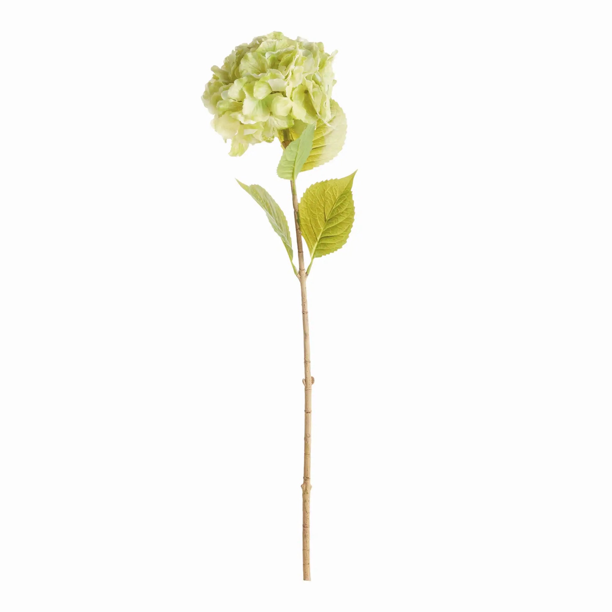 MOPHEAD HYDRANGEA STEMS 30.5", SET OF 4