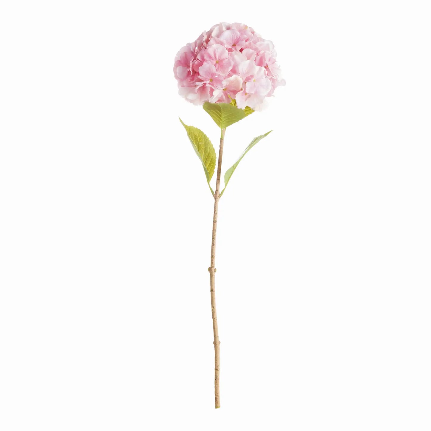 MOPHEAD HYDRANGEA STEMS 30.5", SET OF 4