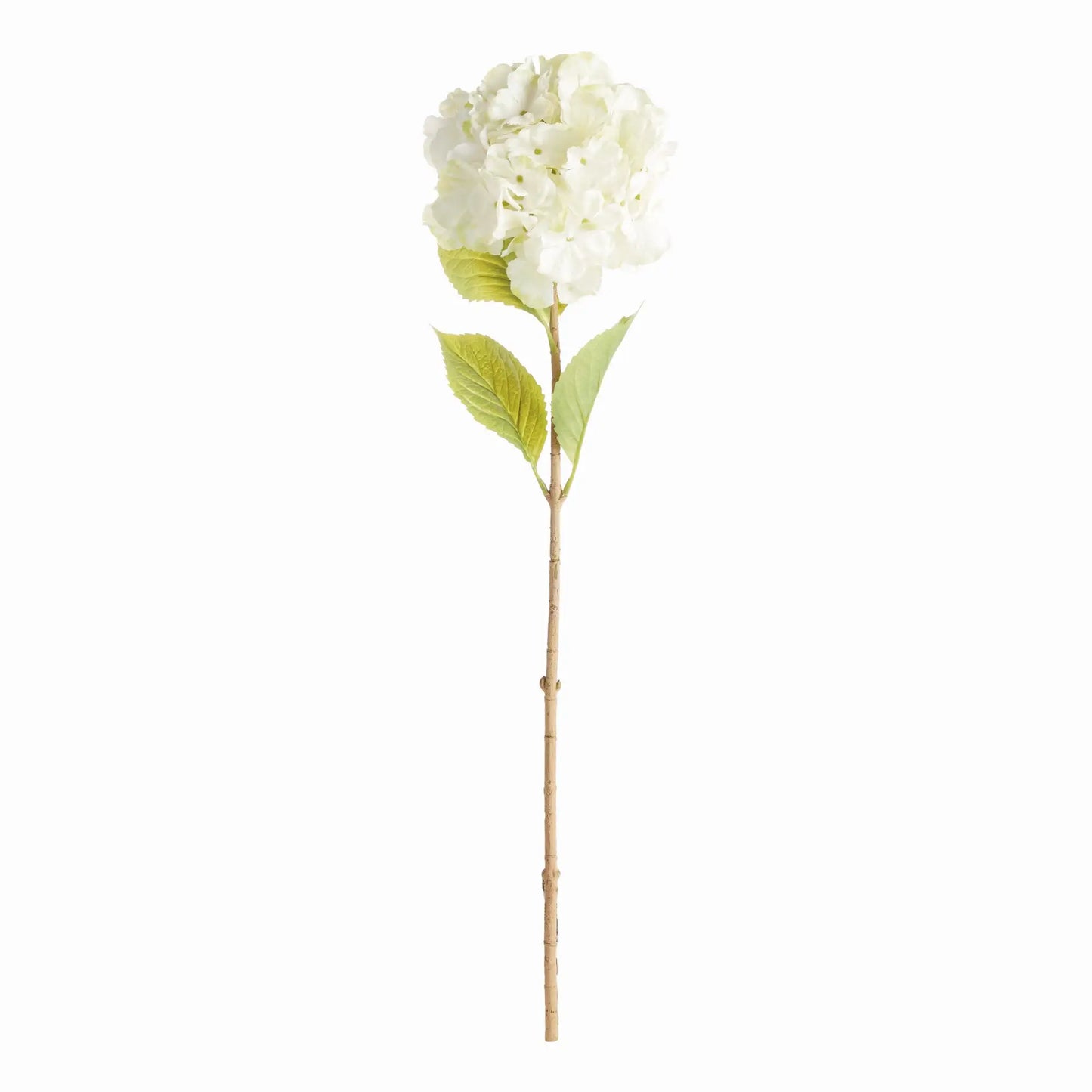 MOPHEAD HYDRANGEA STEMS 30.5", SET OF 4
