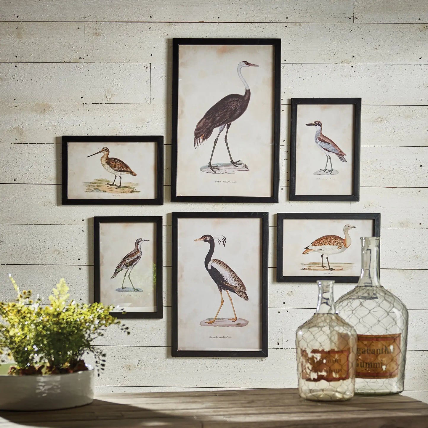 WATERFOWL GALLERY, SET OF 6 - view 3