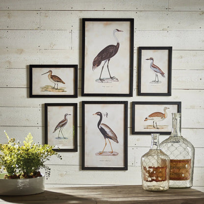 WATERFOWL GALLERY, SET OF 6 - view 3