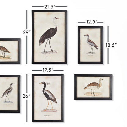 WATERFOWL GALLERY, SET OF 6 - view 2