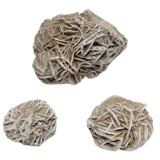 Desert Rose Cluster