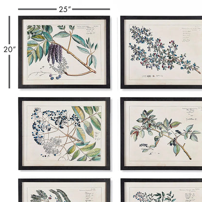 BERRY BRANCH BOTANICAL STUDY, SET OF 6 - view 2