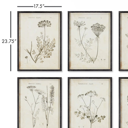 WILDFLOWER STUDY, SET OF 6 - view 2