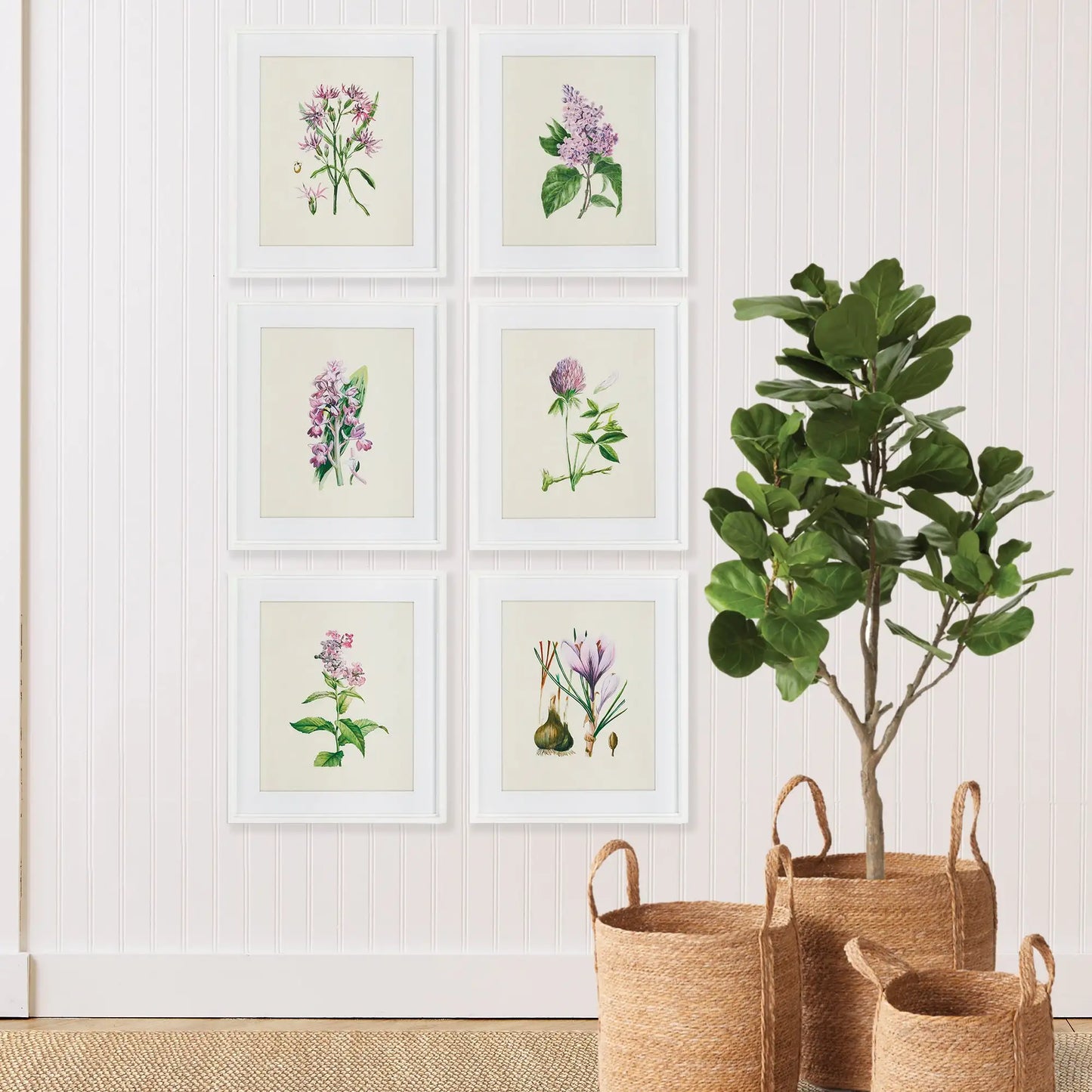 FLOWER STUDY PRINTS, SET OF 6 - view 3