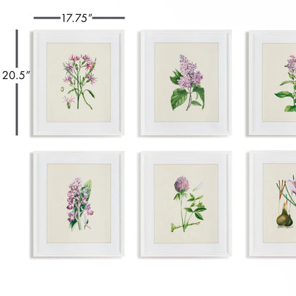 FLOWER STUDY PRINTS, SET OF 6 - view 2