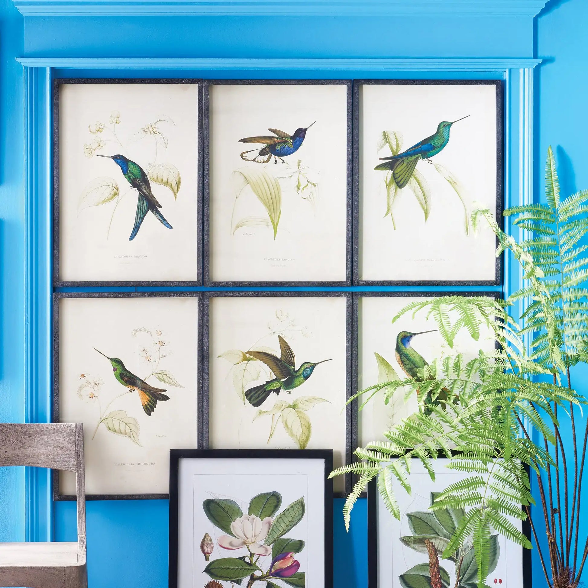 HUMMINGBIRD PRINTS, SET OF 6 - view 3