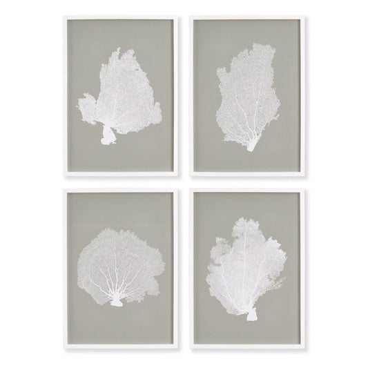 CORAL FANS STUDY, SET OF 4