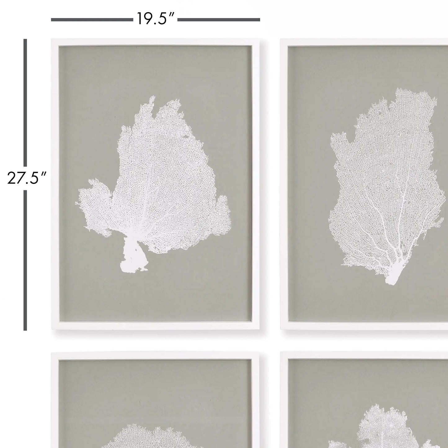 CORAL FANS STUDY, SET OF 4 - view 2