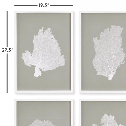 CORAL FANS STUDY, SET OF 4 - view 2