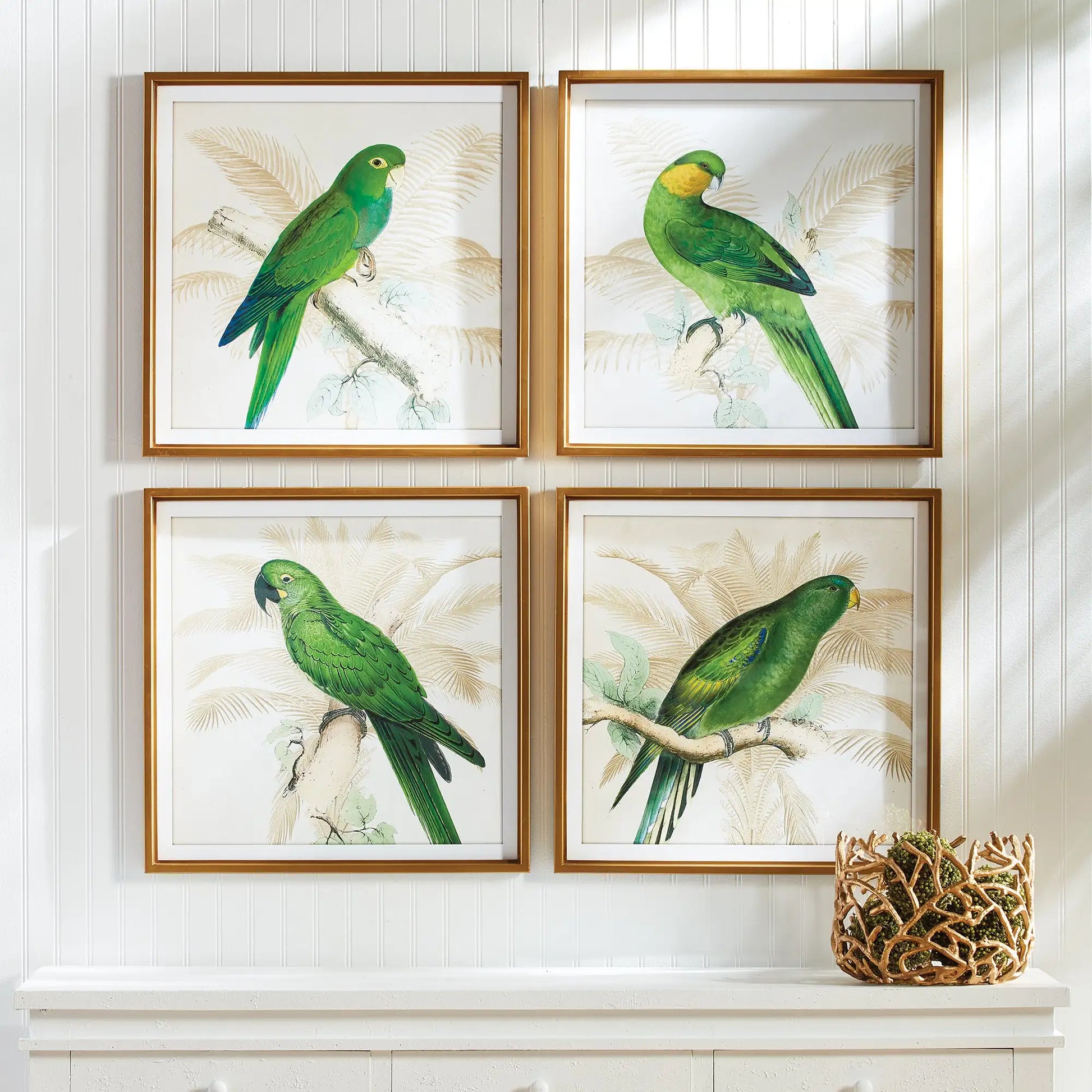 GREEN PARROTS STUDY, SET OF 4 - view 3