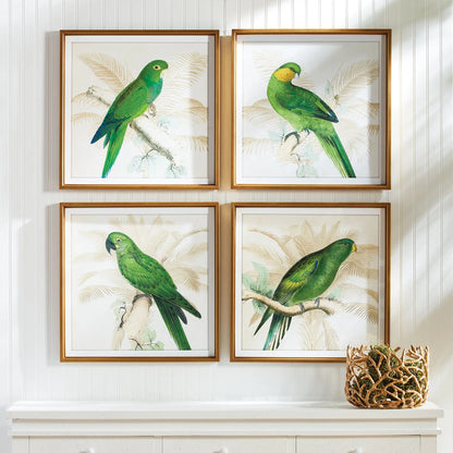 GREEN PARROTS STUDY, SET OF 4 - view 3