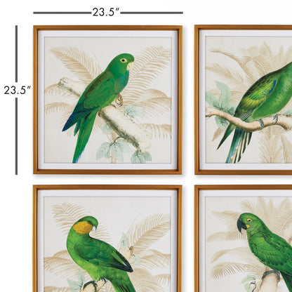 GREEN PARROTS STUDY, SET OF 4 - view 2