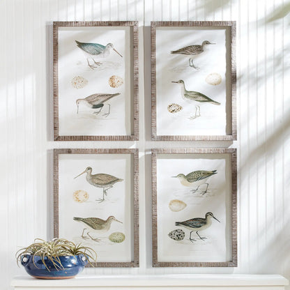 COASTAL BIRDS STUDY, SET OF 4 - view 3