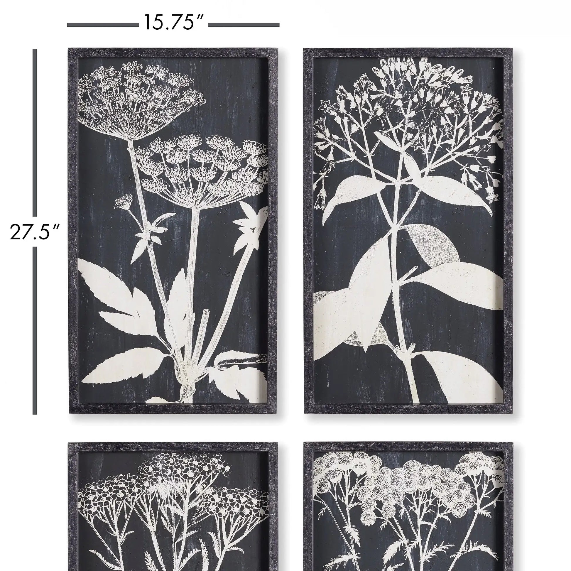 MONOCHROME QUEEN ANNE'S LACE PRINTS, SET OF 4 - view 2