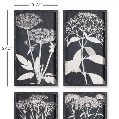 MONOCHROME QUEEN ANNE'S LACE PRINTS, SET OF 4 - view 2