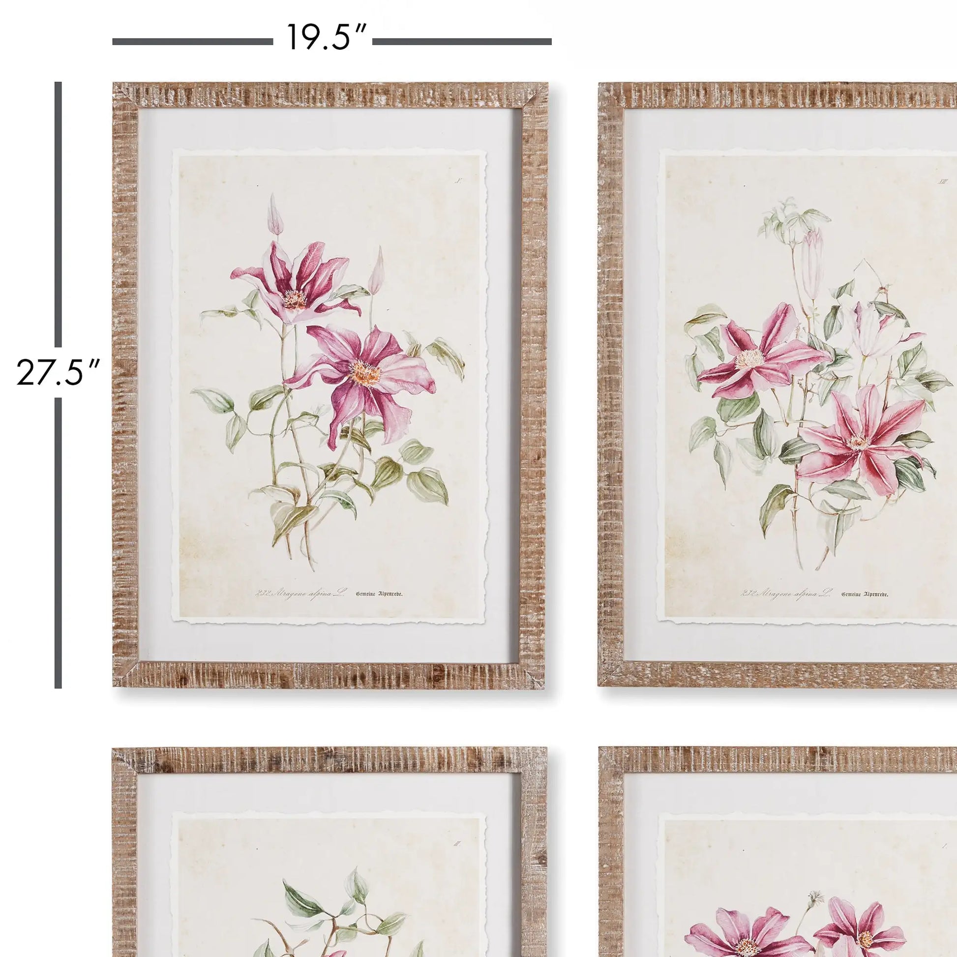 PINK CLEMATIS PRINTS, SET OF 4 - view 2