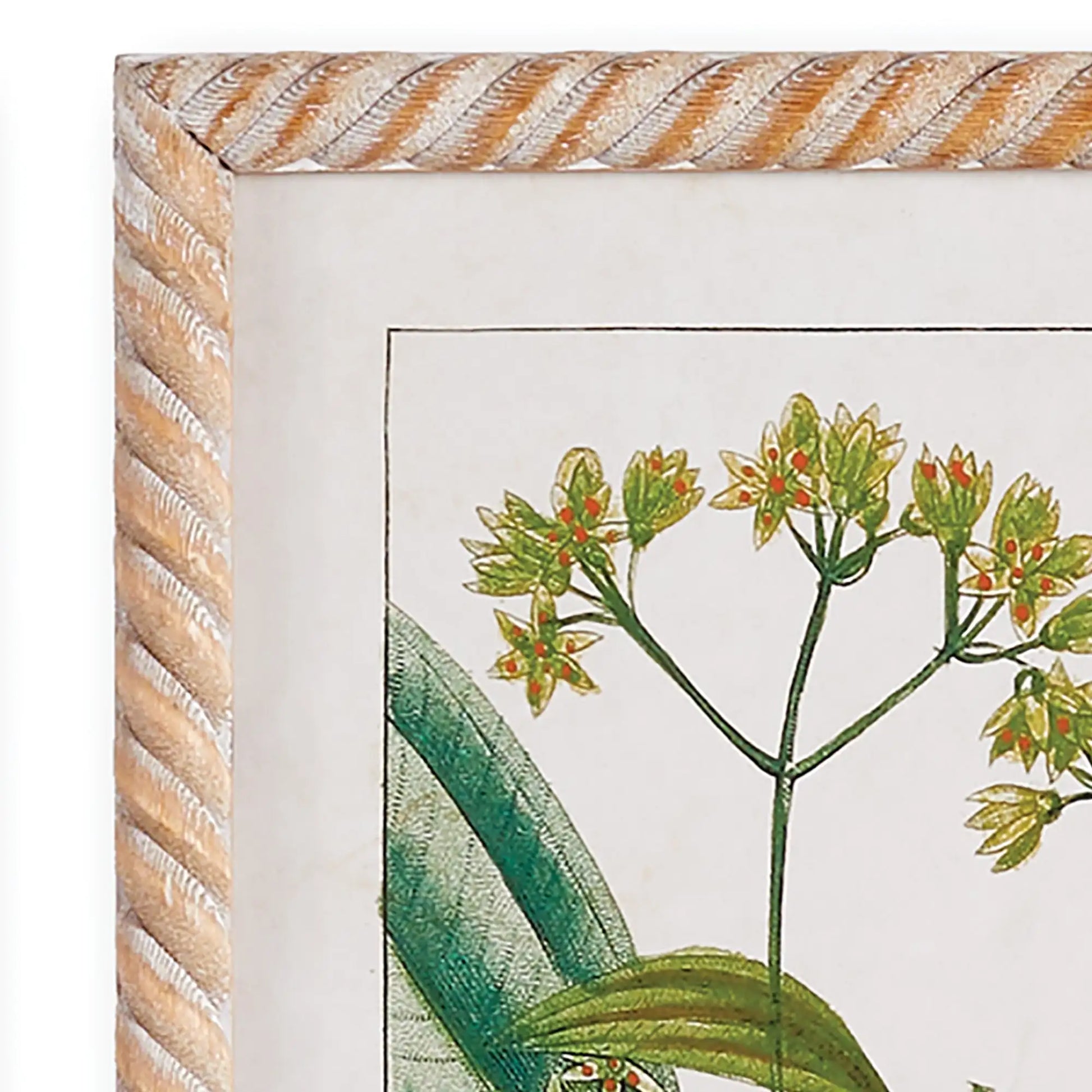 MEADOW BOTANICAL STUDY, SET OF 4 - view 4